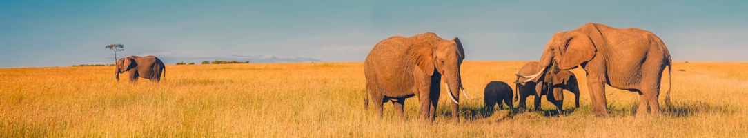 Untitled design - 2024-02-13T204838.570