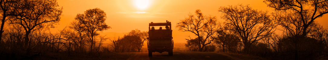 Untitled design - 2024-02-13T210945.674