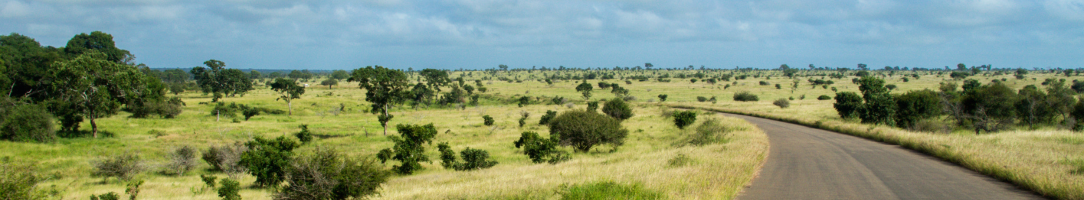 Untitled design - 2024-02-13T211625.531